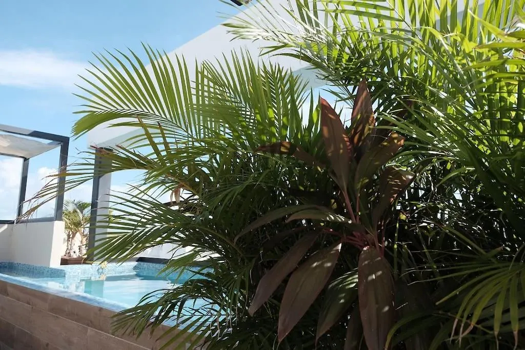 Apartman Yellow Condos Playa del Carmen Mexikó